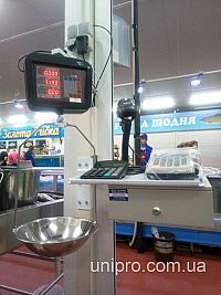 Fish shop4